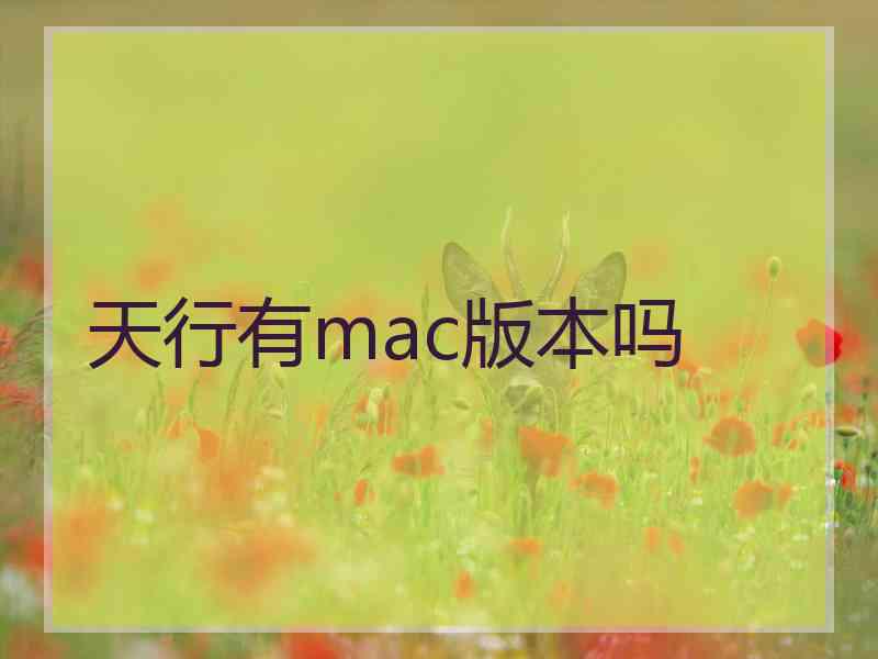 天行有mac版本吗