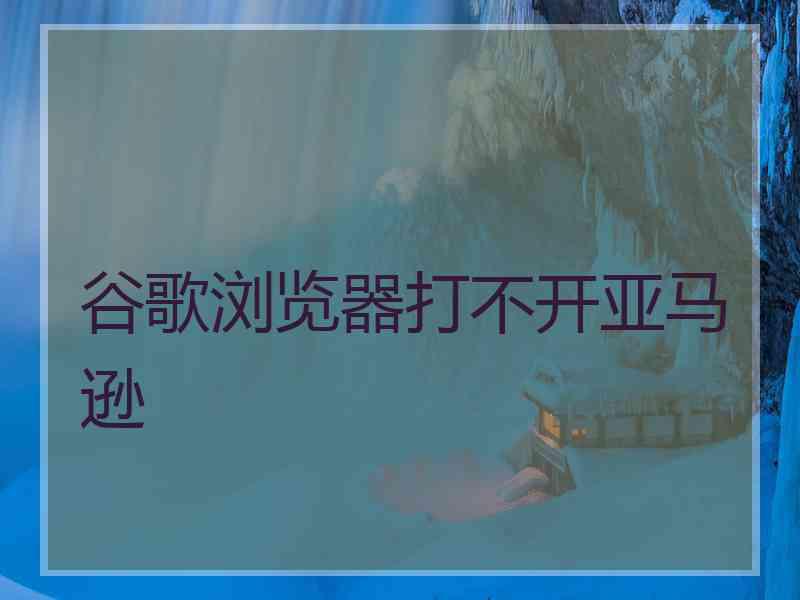 谷歌浏览器打不开亚马逊