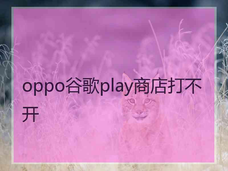 oppo谷歌play商店打不开