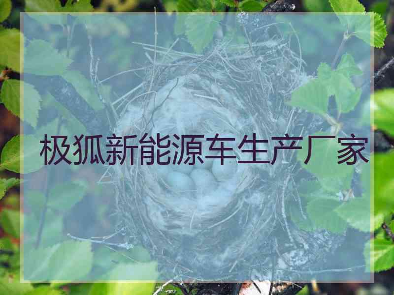 极狐新能源车生产厂家