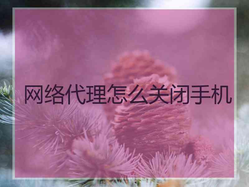 网络代理怎么关闭手机