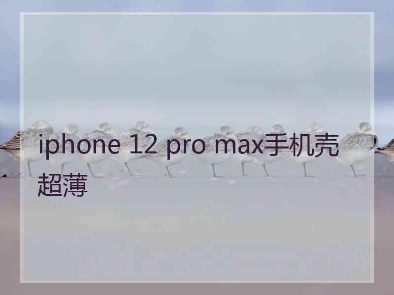 iphone 12 pro max手机壳超薄