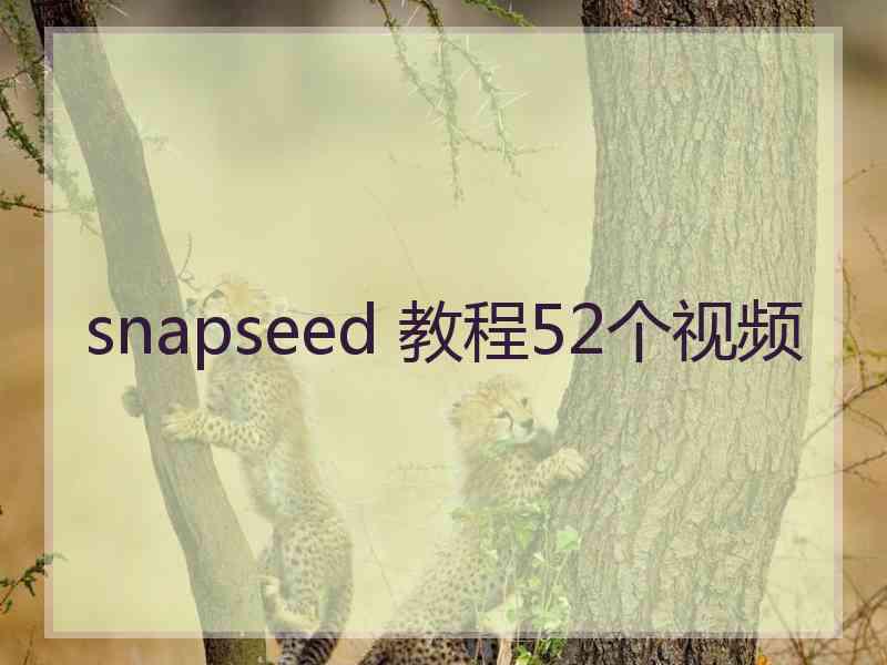 snapseed 教程52个视频