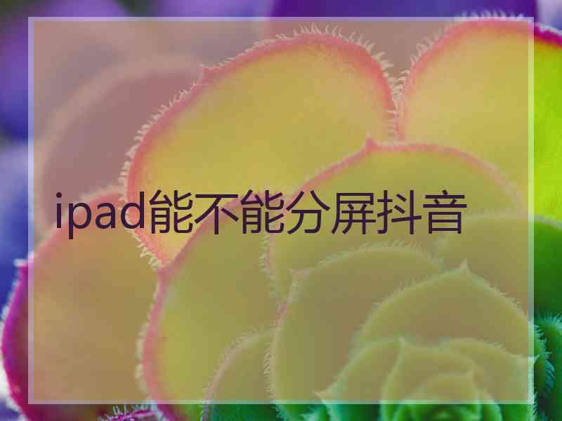 ipad能不能分屏抖音