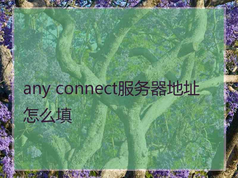 any connect服务器地址怎么填