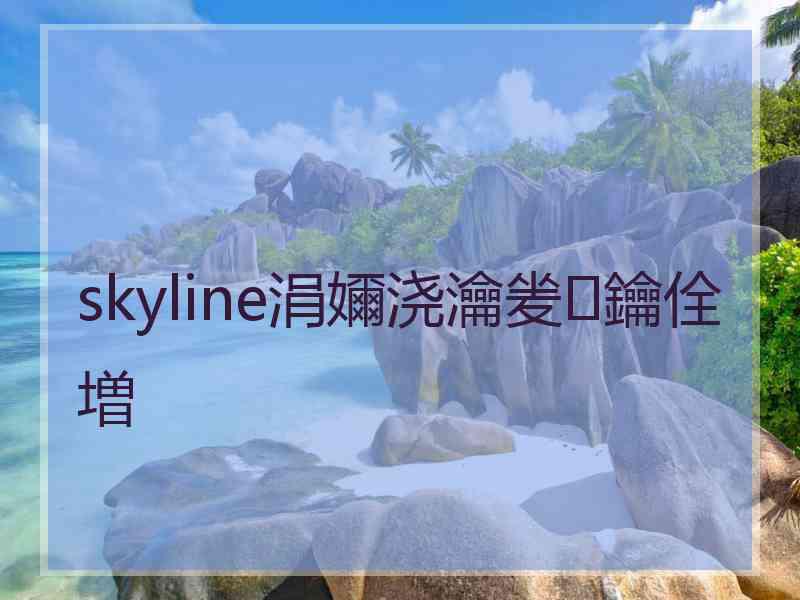 skyline涓嬭浇瀹夎鑰佺増