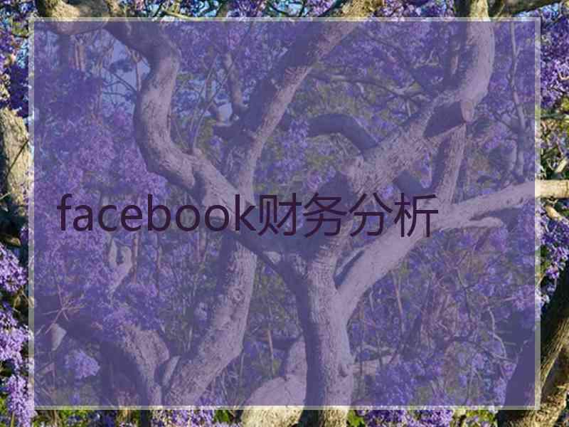 facebook财务分析