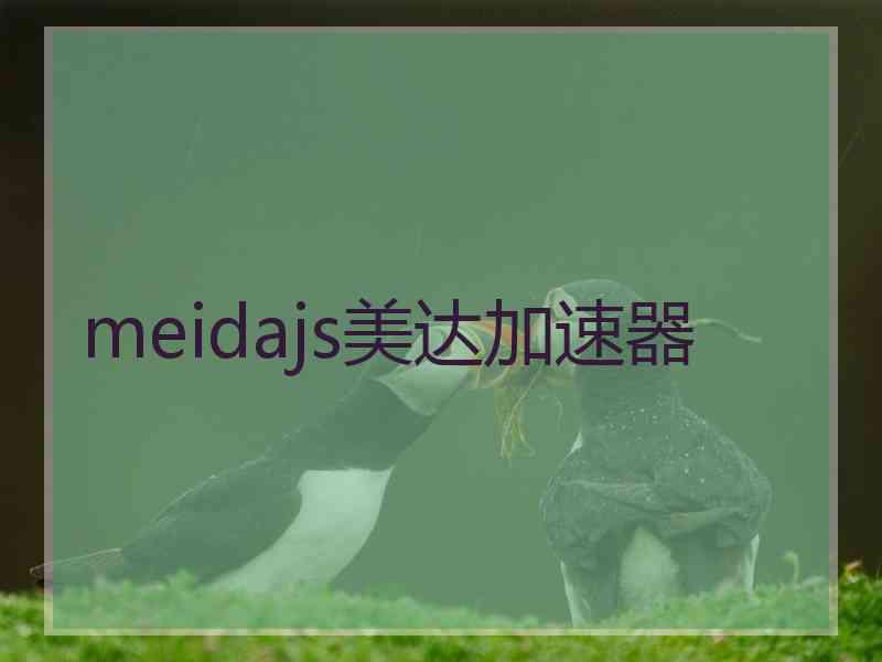 meidajs美达加速器