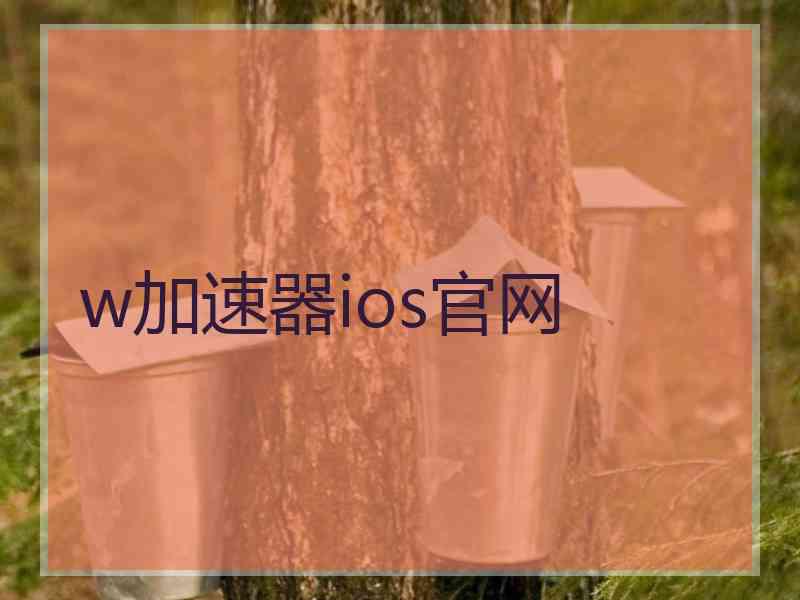 w加速器ios官网