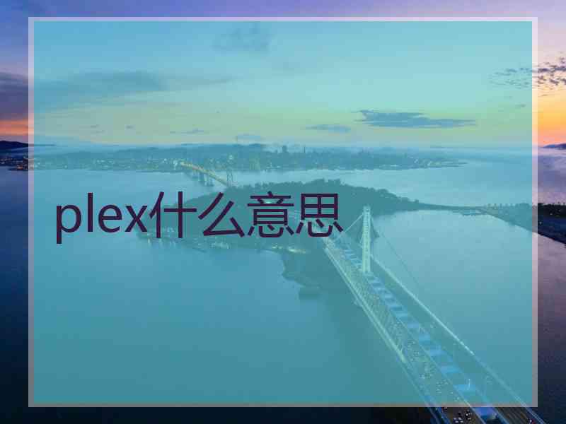 plex什么意思