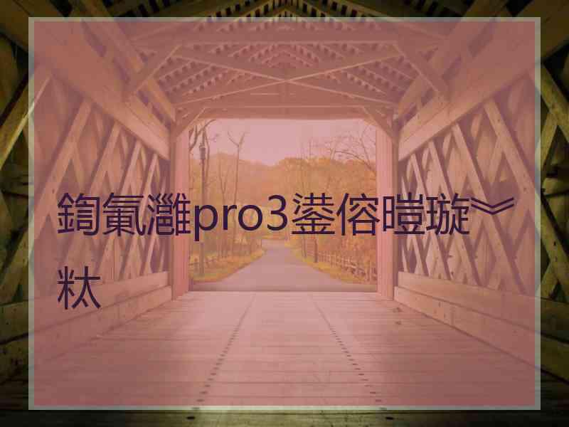 鍧氭灉pro3鍙傛暟璇︾粏