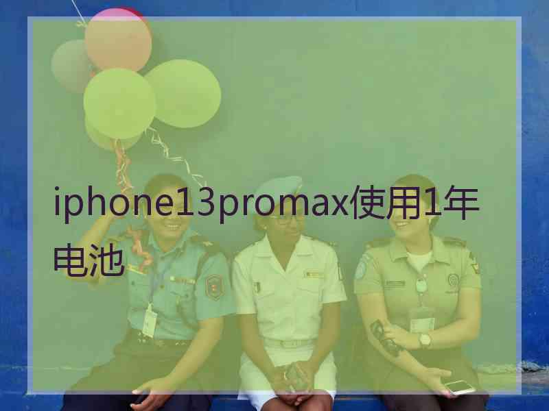 iphone13promax使用1年电池