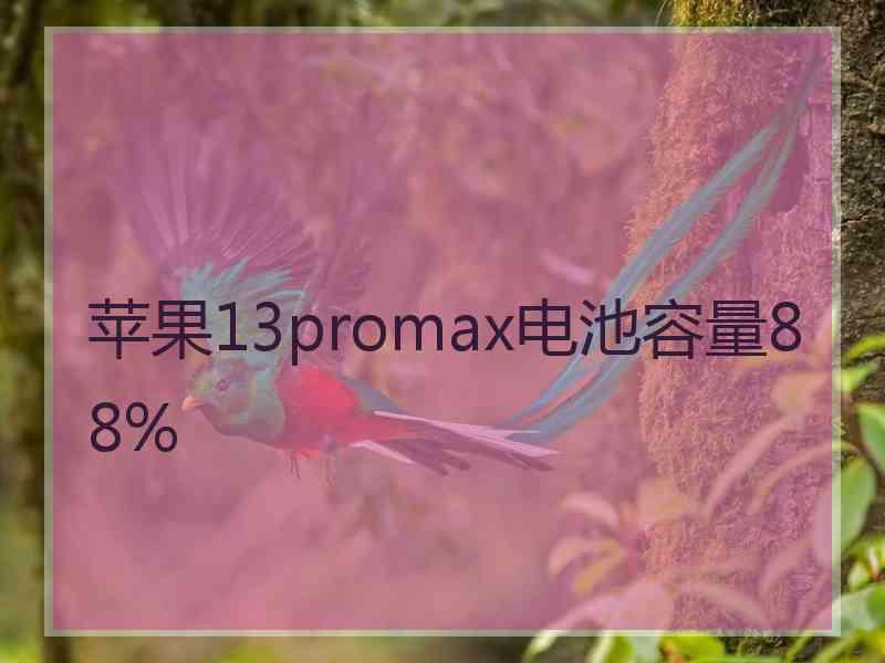 苹果13promax电池容量88%