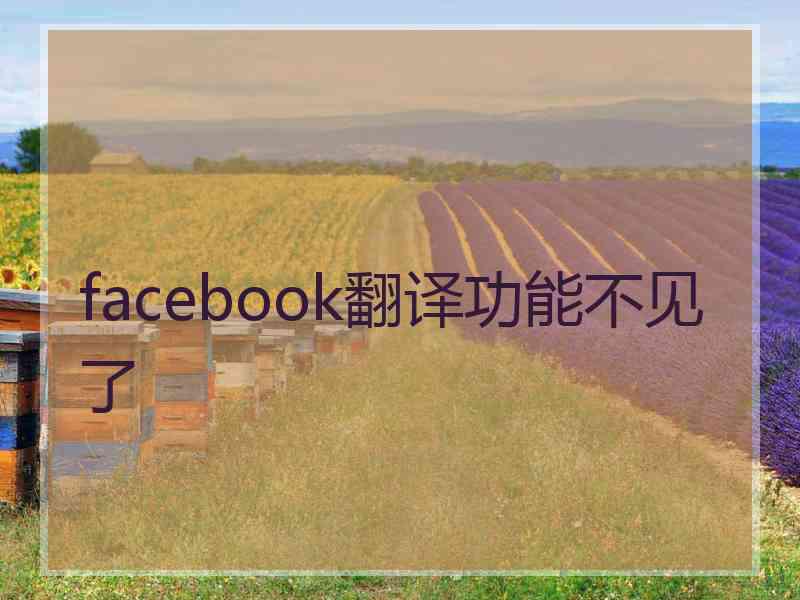 facebook翻译功能不见了