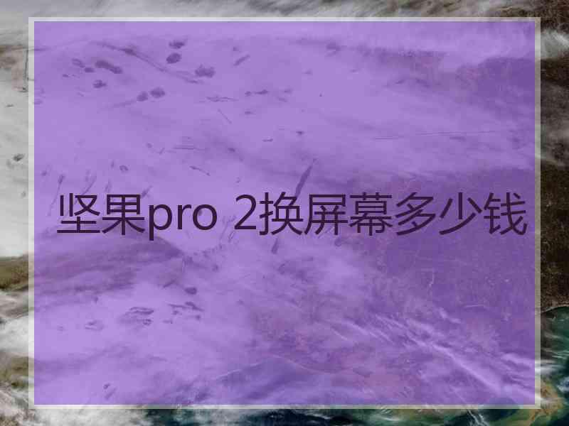 坚果pro 2换屏幕多少钱