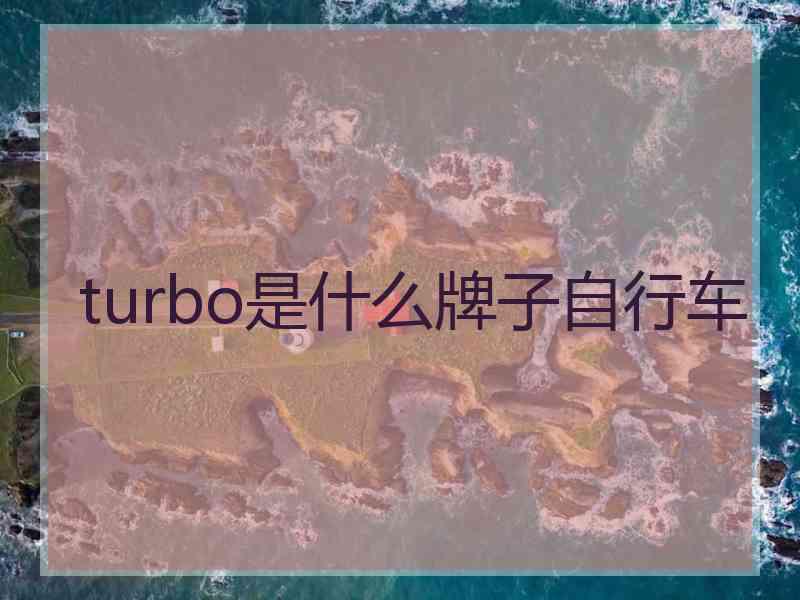 turbo是什么牌子自行车