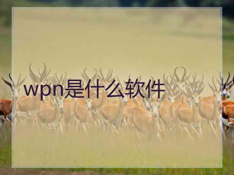 wpn是什么软件