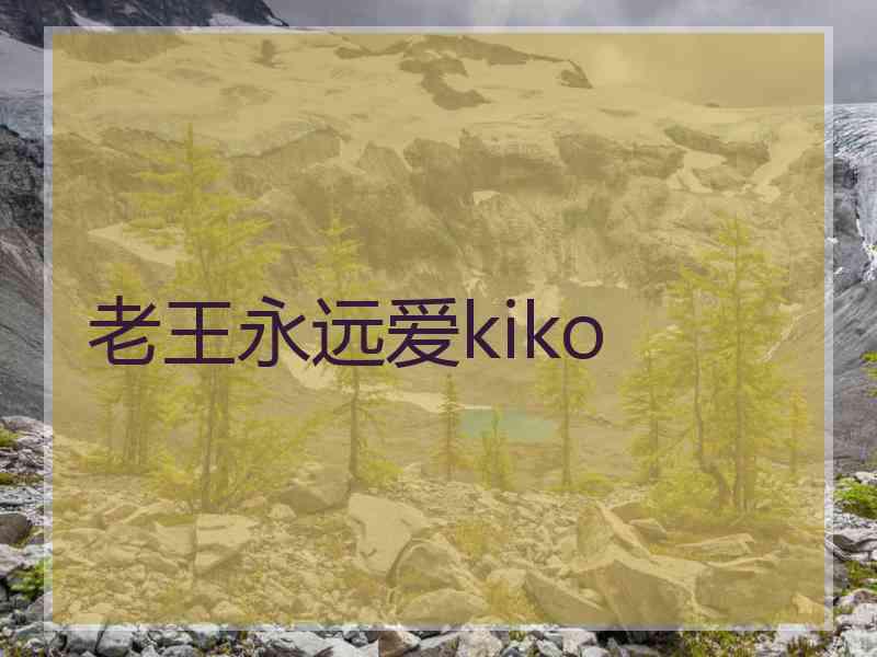 老王永远爱kiko