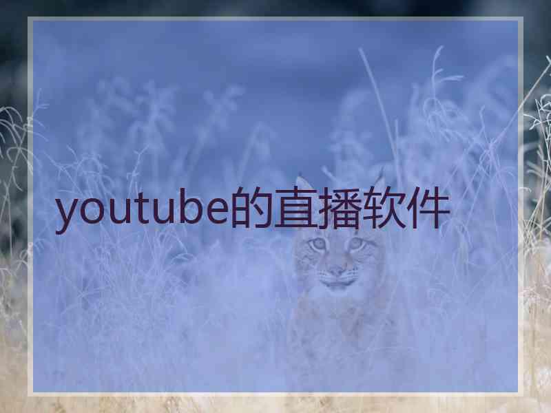 youtube的直播软件