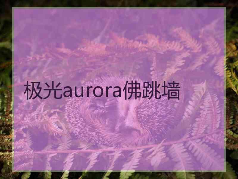 极光aurora佛跳墙