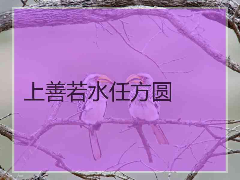 上善若水任方圆