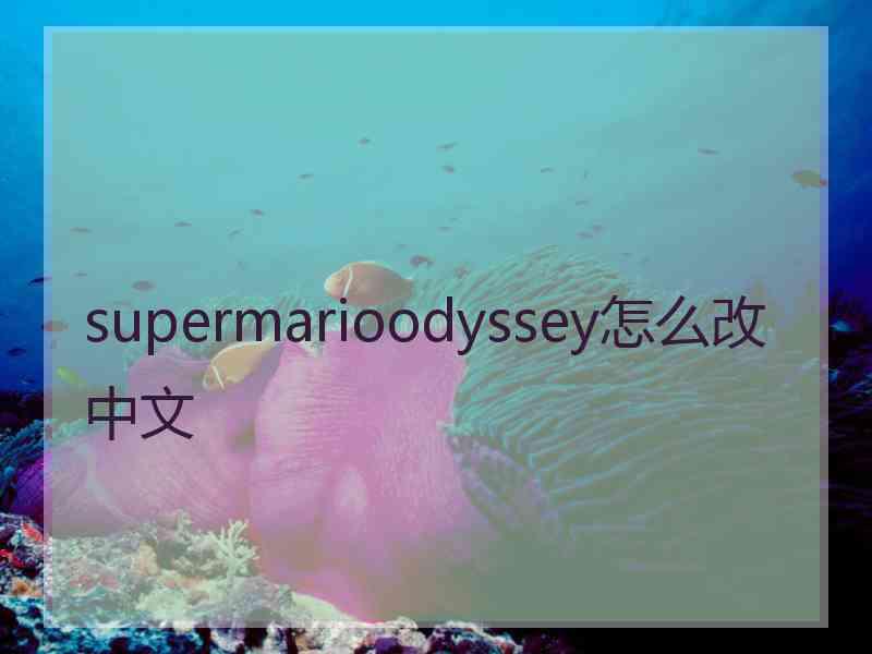 supermarioodyssey怎么改中文