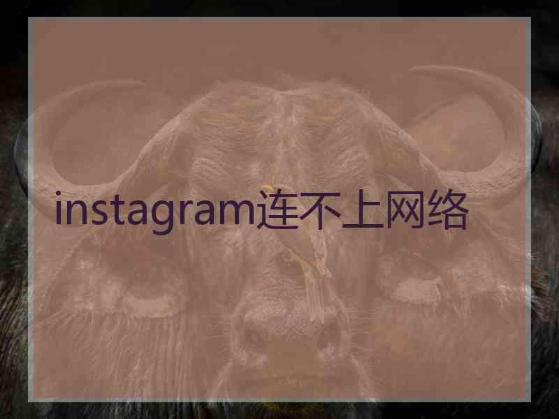 instagram连不上网络