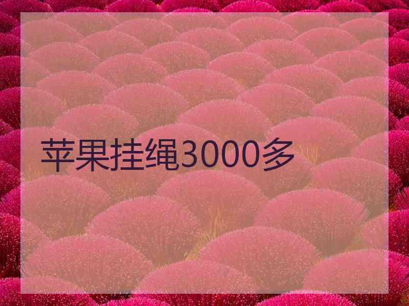 苹果挂绳3000多