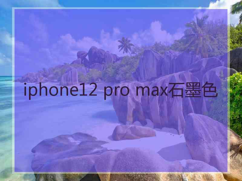 iphone12 pro max石墨色