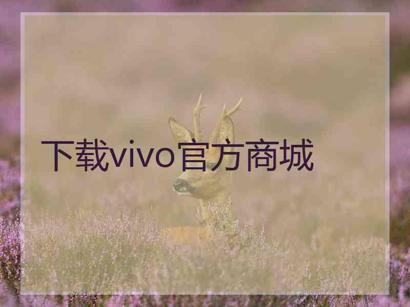 下载vivo官方商城