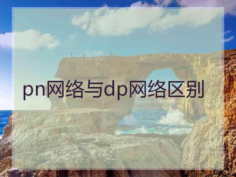 pn网络与dp网络区别