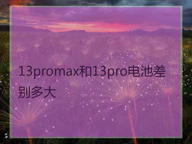 13promax和13pro电池差别多大