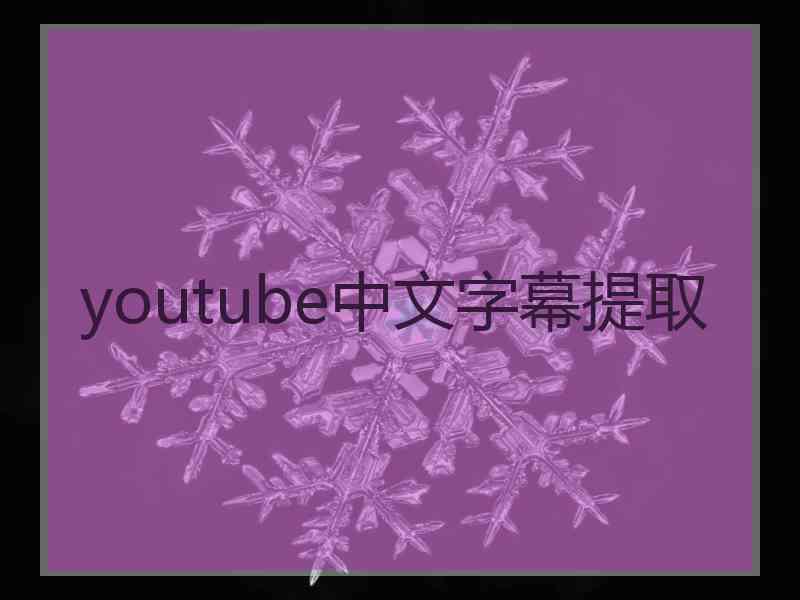 youtube中文字幕提取