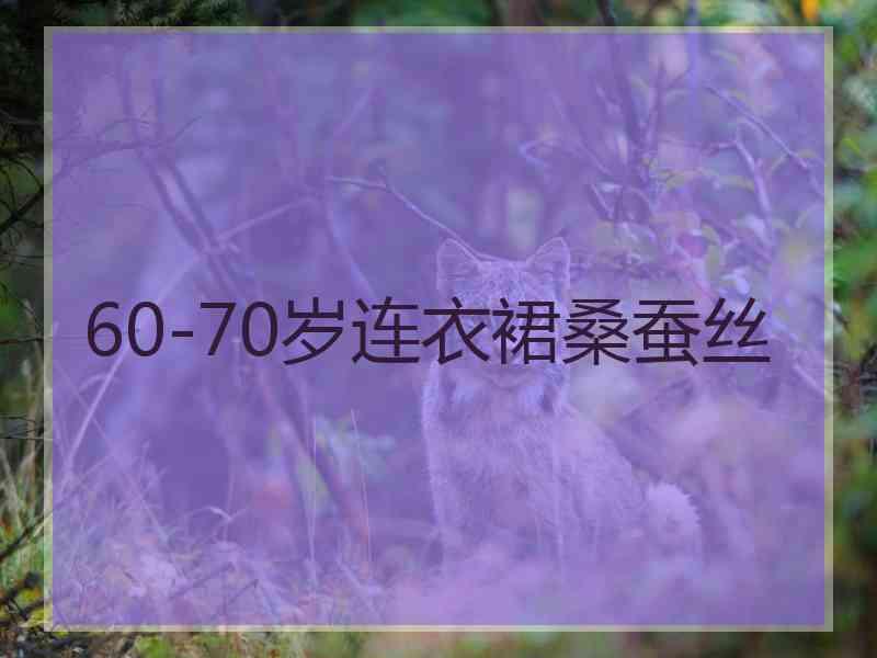 60-70岁连衣裙桑蚕丝