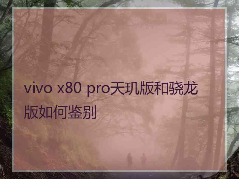 vivo x80 pro天玑版和骁龙版如何鉴别