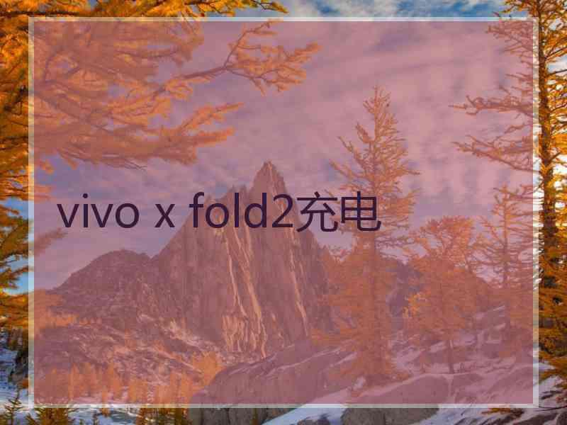 vivo x fold2充电