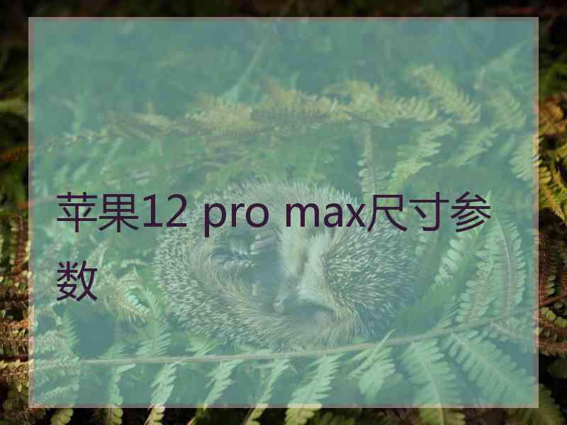 苹果12 pro max尺寸参数