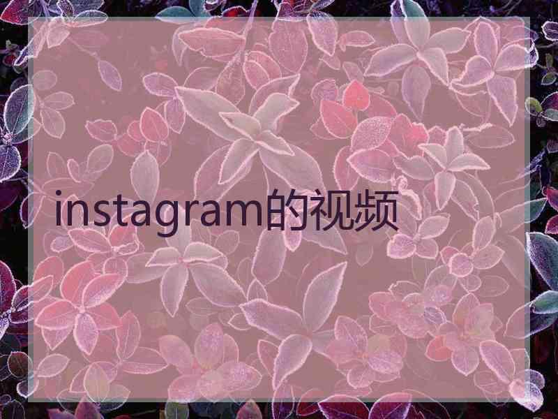 instagram的视频