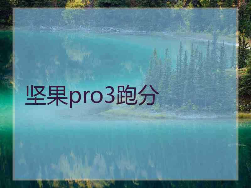 坚果pro3跑分