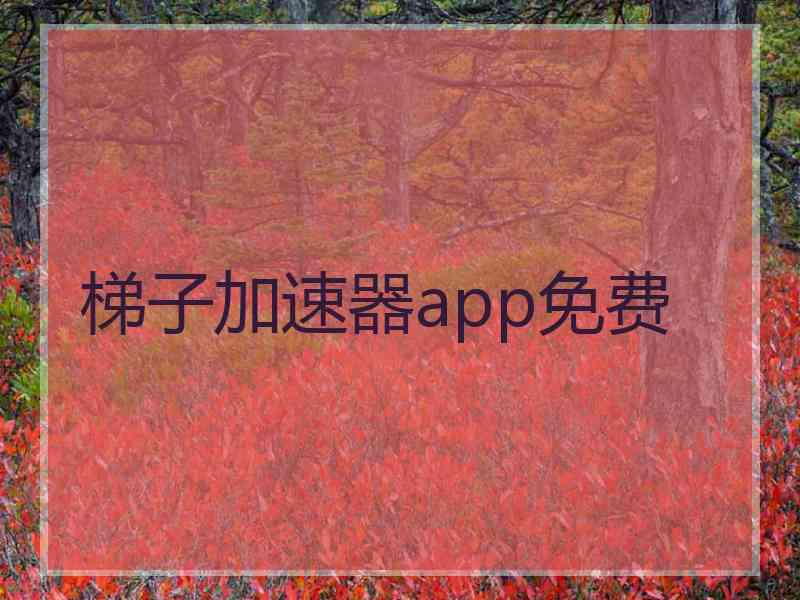 梯子加速器app免费