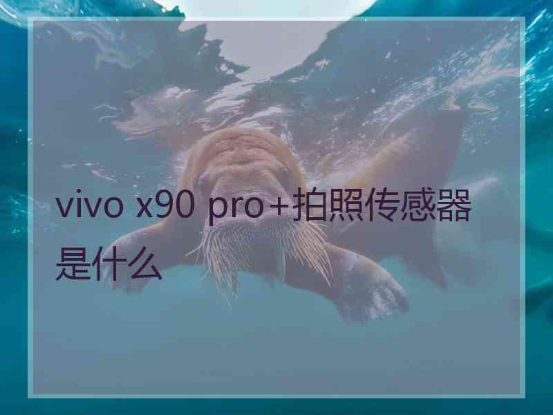 vivo x90 pro+拍照传感器是什么