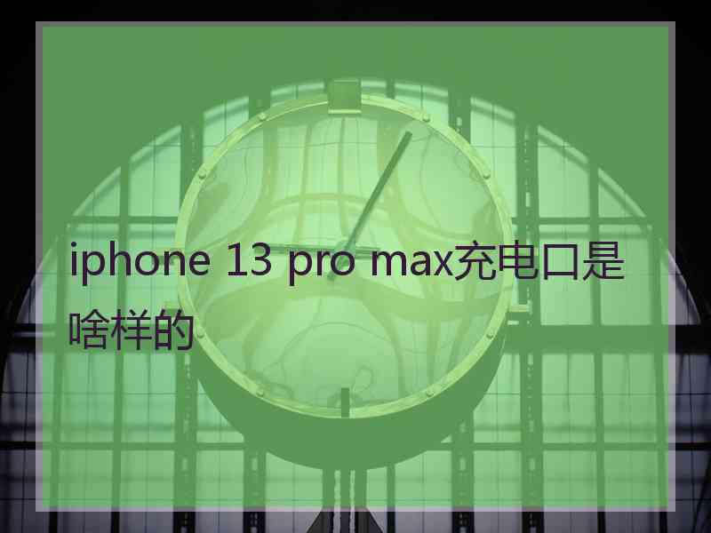 iphone 13 pro max充电口是啥样的