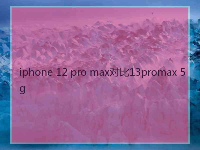 iphone 12 pro max对比13promax 5g