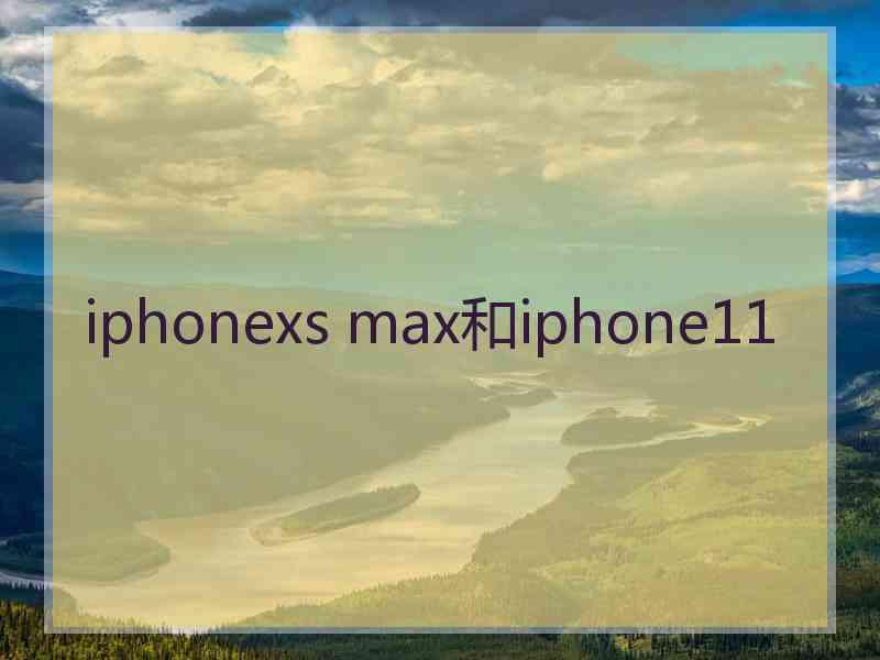 iphonexs max和iphone11