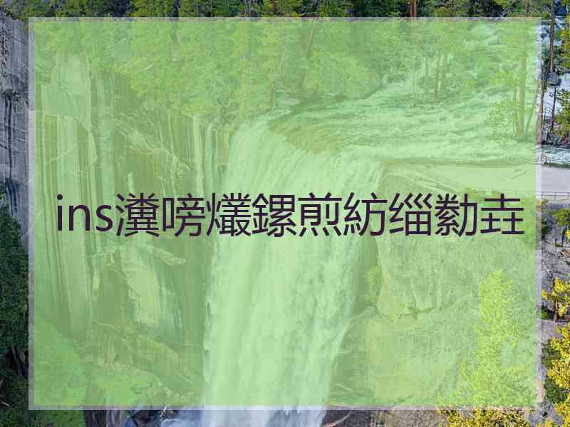 ins瀵嗙爜鏍煎紡缁勬垚