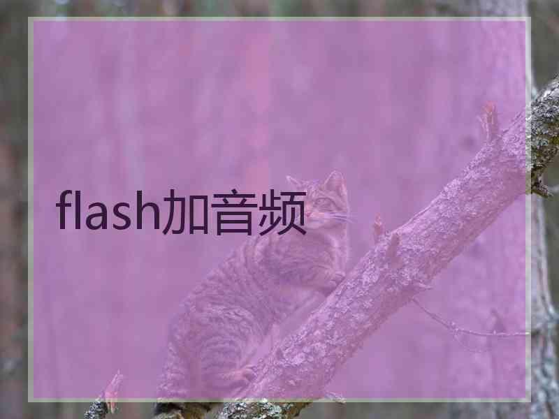 flash加音频