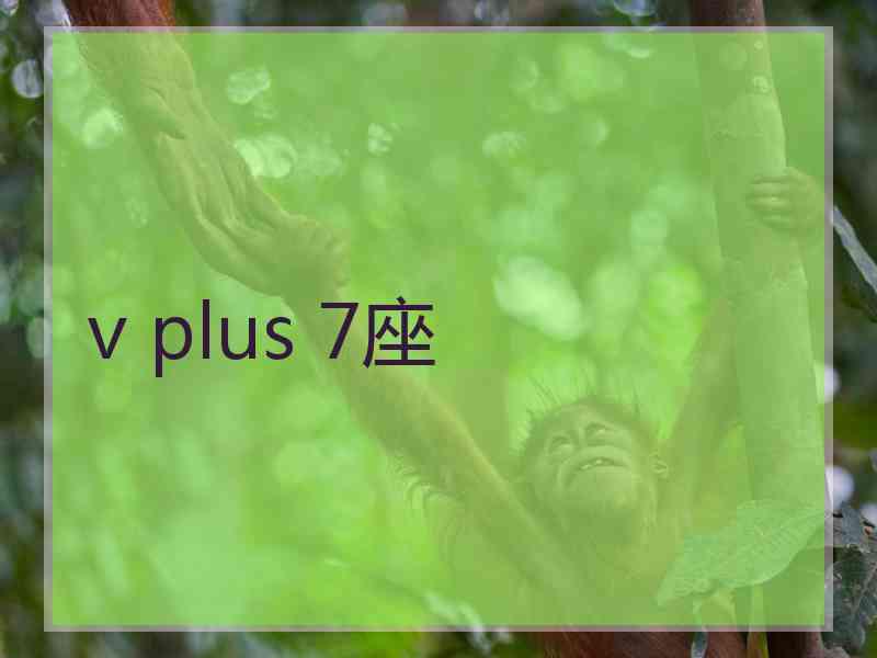 v plus 7座