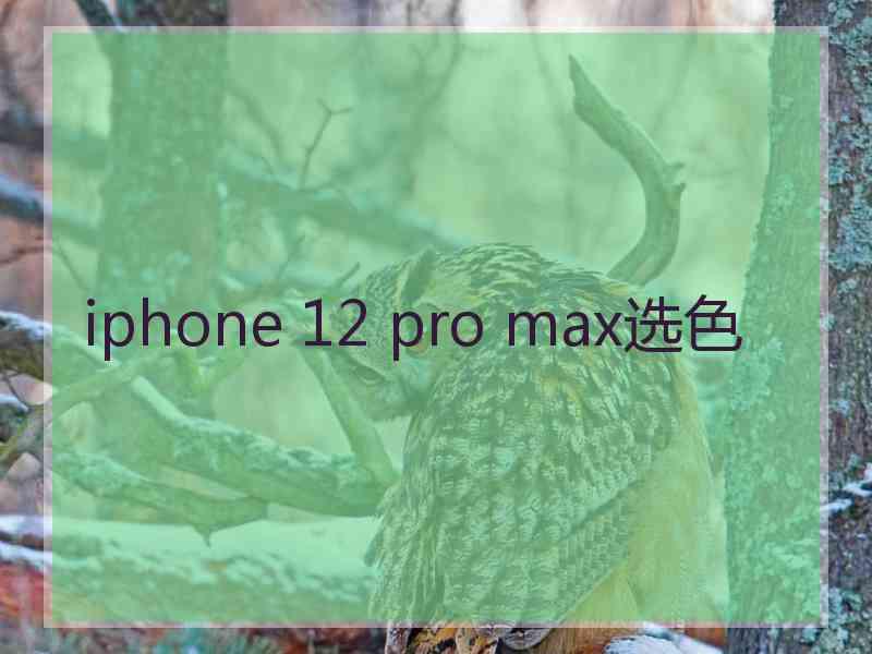 iphone 12 pro max选色