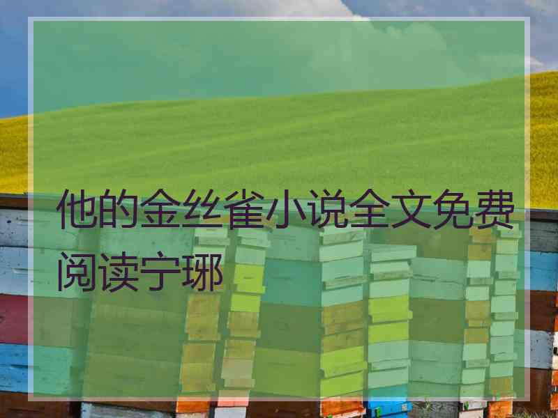 他的金丝雀小说全文免费阅读宁琊