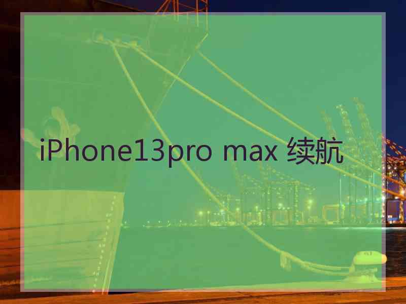 iPhone13pro max 续航